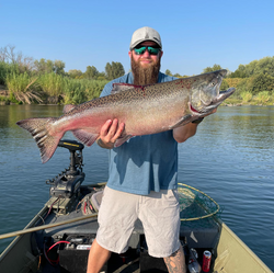 Salmon In California